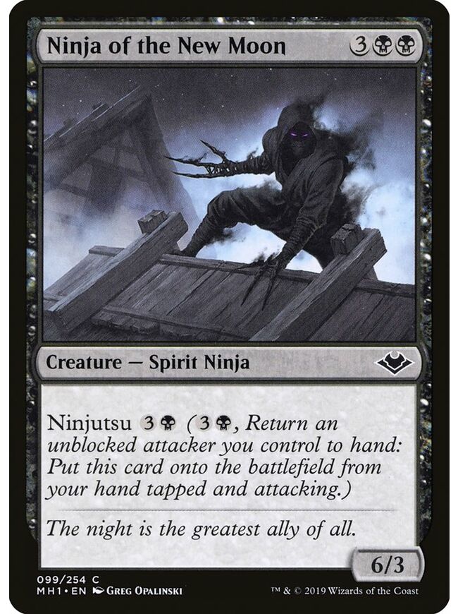 Ninja of the New Moon