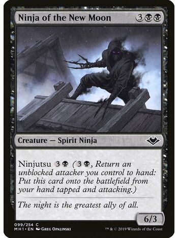 Ninja of the New Moon