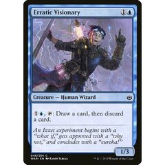 Erratic Visionary