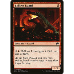 Bellows Lizard
