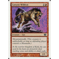 Canyon Wildcat