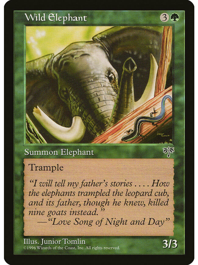 Wild Elephant