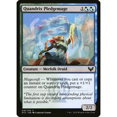 Quandrix Pledgemage