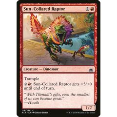 Sun-Collared Raptor