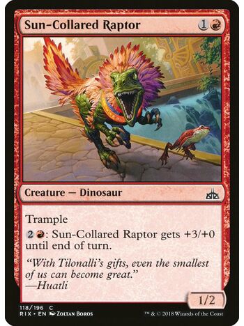 Sun-Collared Raptor