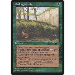 Undergrowth