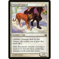 Trained Caracal