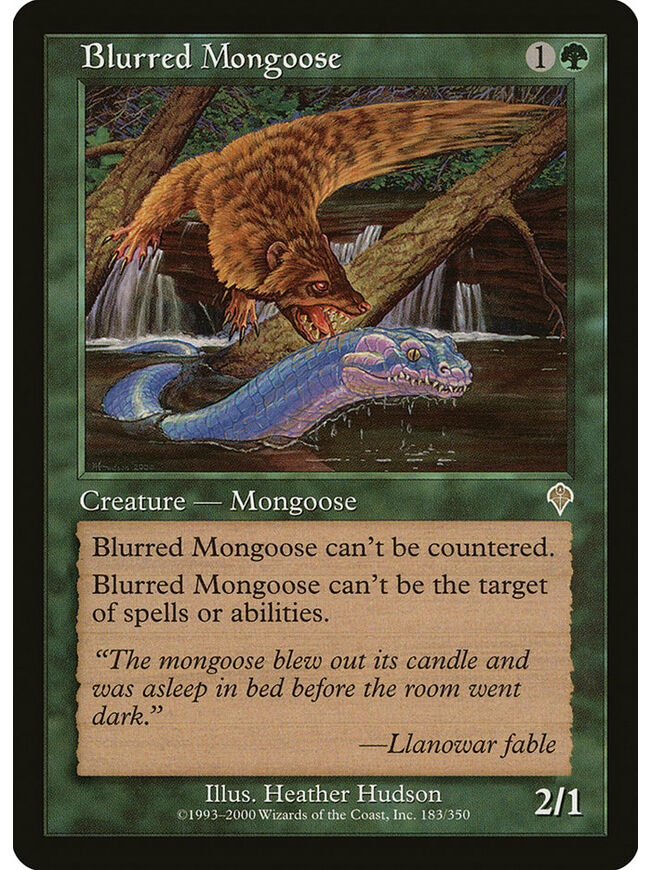 Blurred Mongoose