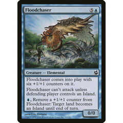 Floodchaser