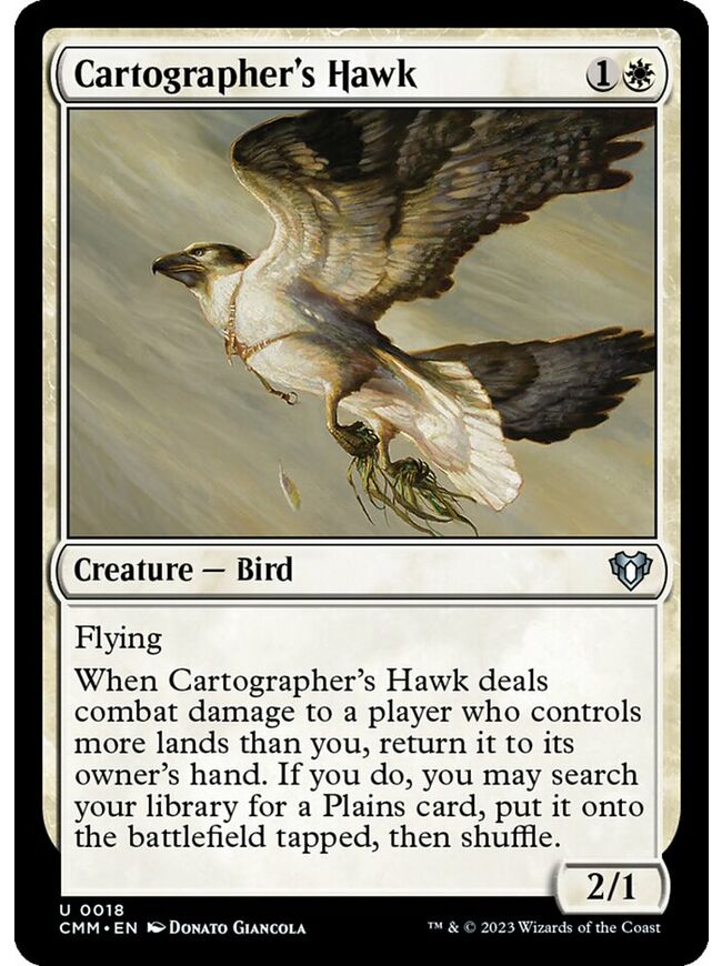 Cartographer's Hawk