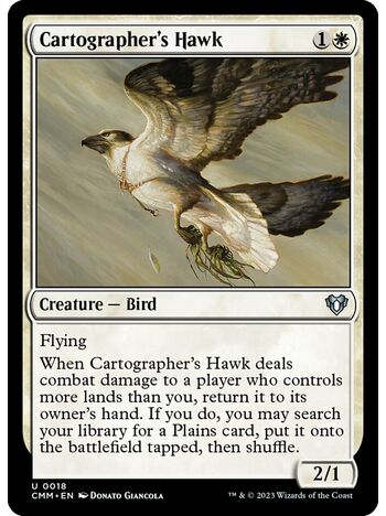 Cartographer's Hawk