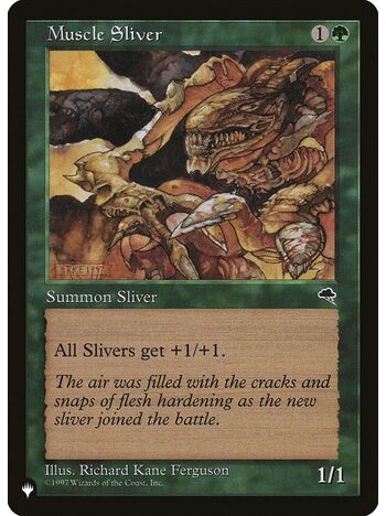 Muscle Sliver