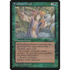Fyndhorn Druid