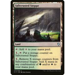 Saltcrusted Steppe