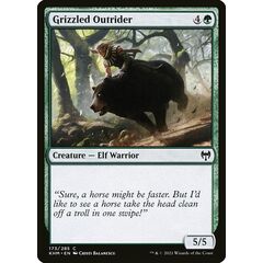 Grizzled Outrider