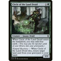 Circle of the Land Druid
