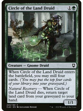 Circle of the Land Druid