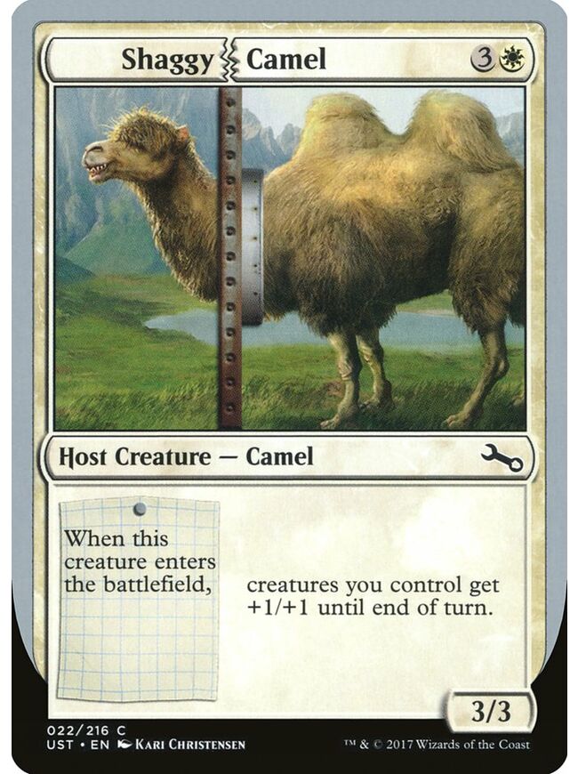 Shaggy Camel