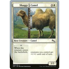 Shaggy Camel