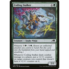 Coiling Stalker