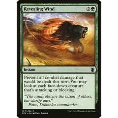 Revealing Wind