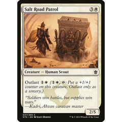 Salt Road Patrol