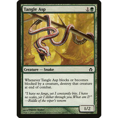Tangle Asp