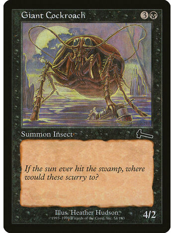 Giant Cockroach