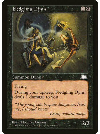 Fledgling Djinn