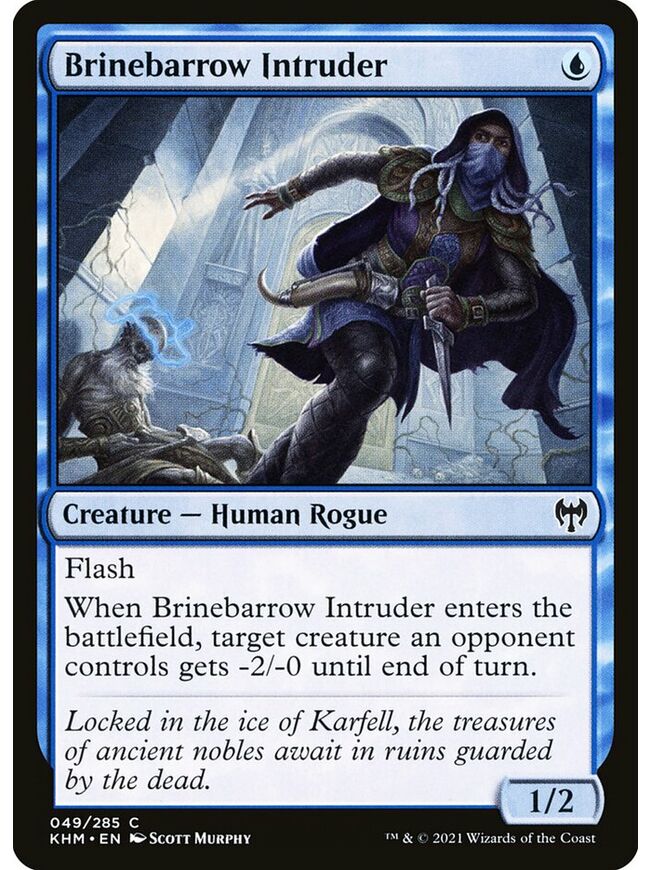 Brinebarrow Intruder
