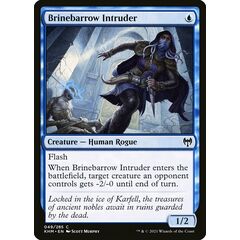 Brinebarrow Intruder