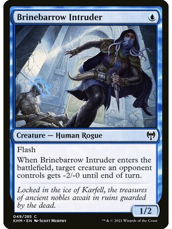 Brinebarrow Intruder