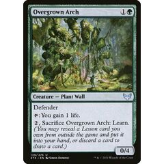 Overgrown Arch