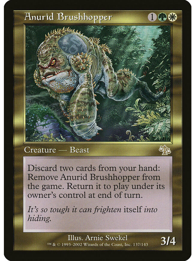 Anurid Brushhopper