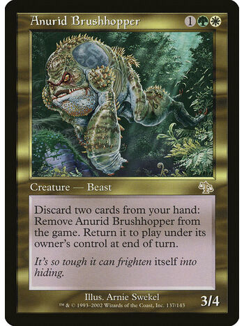 Anurid Brushhopper
