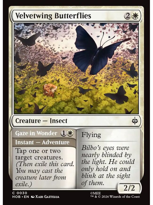 Velvetwing Butterflies // Gaze in Wonder