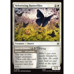 Velvetwing Butterflies // Gaze in Wonder