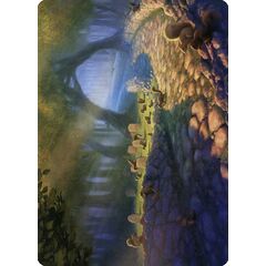 Squirrel Sanctuary // Squirrel Sanctuary (Art Series)