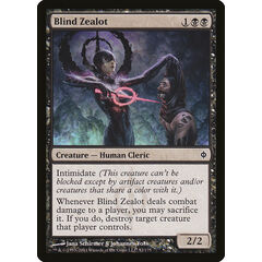 Blind Zealot