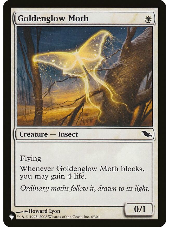 Goldenglow Moth