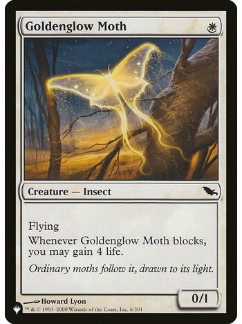 Goldenglow Moth
