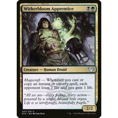 Witherbloom Apprentice