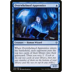 Overwhelmed Apprentice