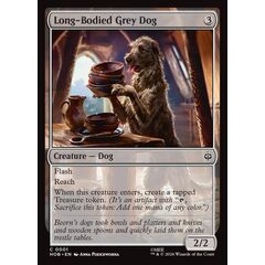 Long-Bodied Grey Dog