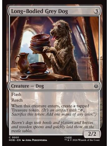 Long-Bodied Grey Dog