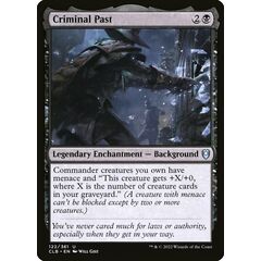 Criminal Past