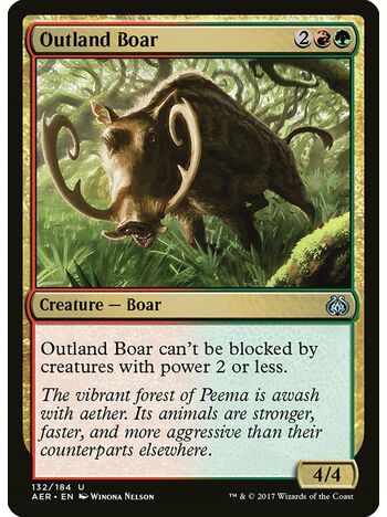 Outland Boar