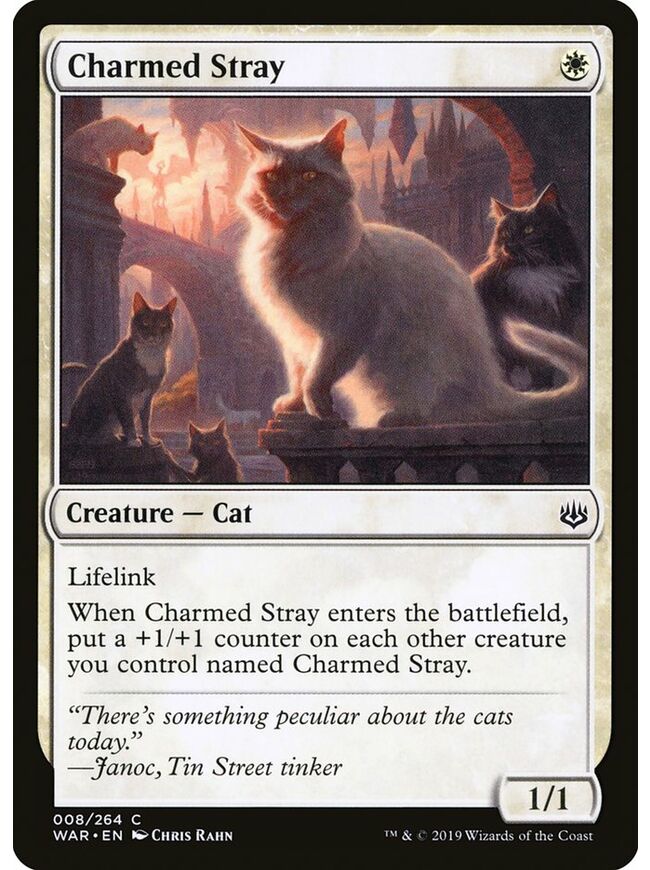 Charmed Stray