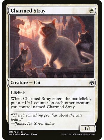 Charmed Stray