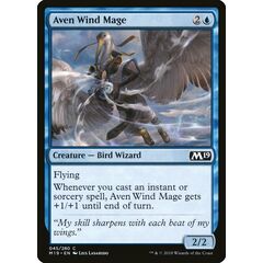 Aven Wind Mage